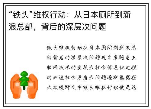 “铁头”维权行动：从日本厕所到新浪总部，背后的深层次问题