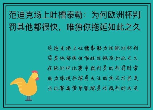 范迪克场上吐槽泰勒：为何欧洲杯判罚其他都很快，唯独你拖延如此之久？